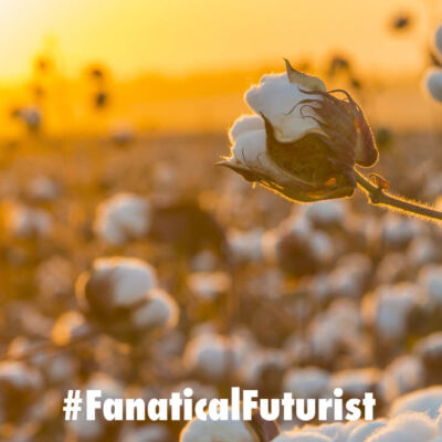 Futurist_algaeing
