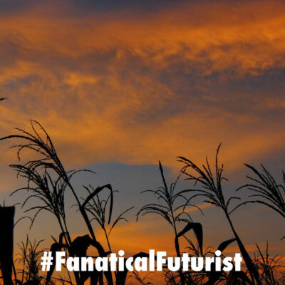 Futurist_darkcrop