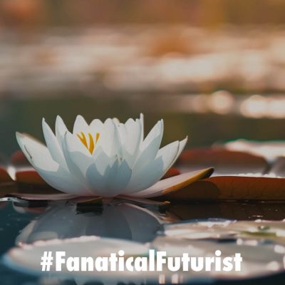 Futurist_lilies