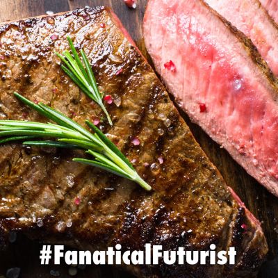 Futurist_nuprotein