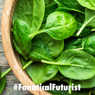 futurist_plants