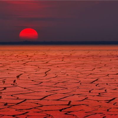 shutterstock_203656804