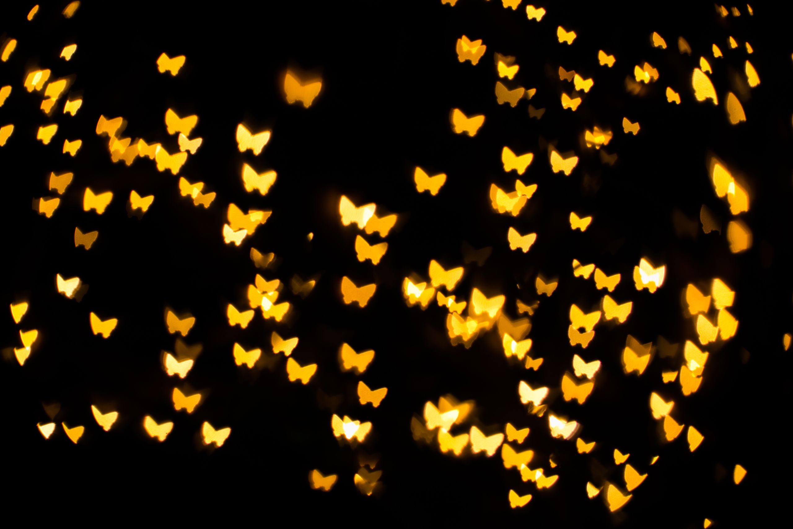 Abstract,Butterfly,Backgrounds,Bokeh