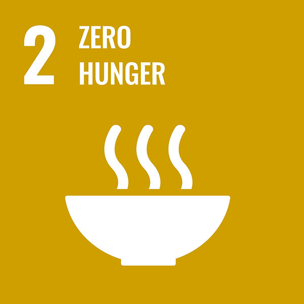 SDG_icons_ACEFRS JUNE2019_MS